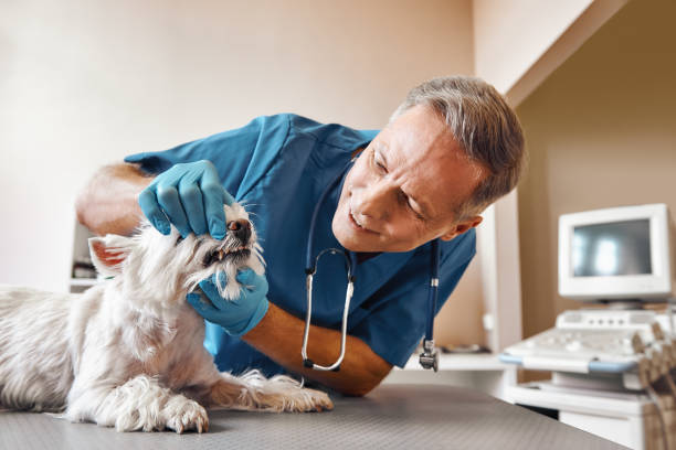 Best Emergency Tooth Extraction in North Wildwood, NJ